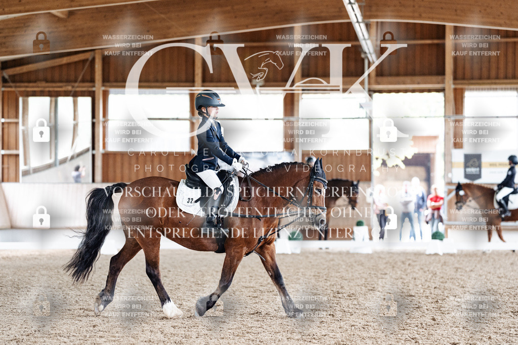 CK900716 | Turnierfotografie Pferdefotografie Trier Rheinland-Pfalz Pferdesport Reitsport Tierfotografie Sportfotografie Pferdevideo Pferdevideografie Equestrianvideography equestrianphotography  - Realisiert mit Pictrs.com