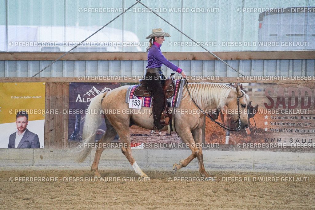 DSC09078 | Pferdegrafie