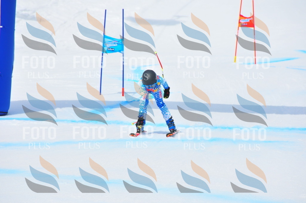 DSC_2665 | holidayphoto