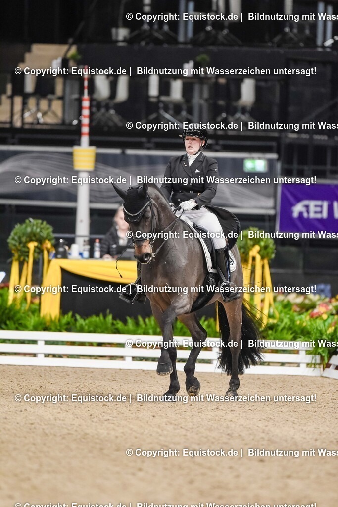 20251112_Dressur_iWest_TOMSPIC_01530153 | Foto: Thomas Hartig