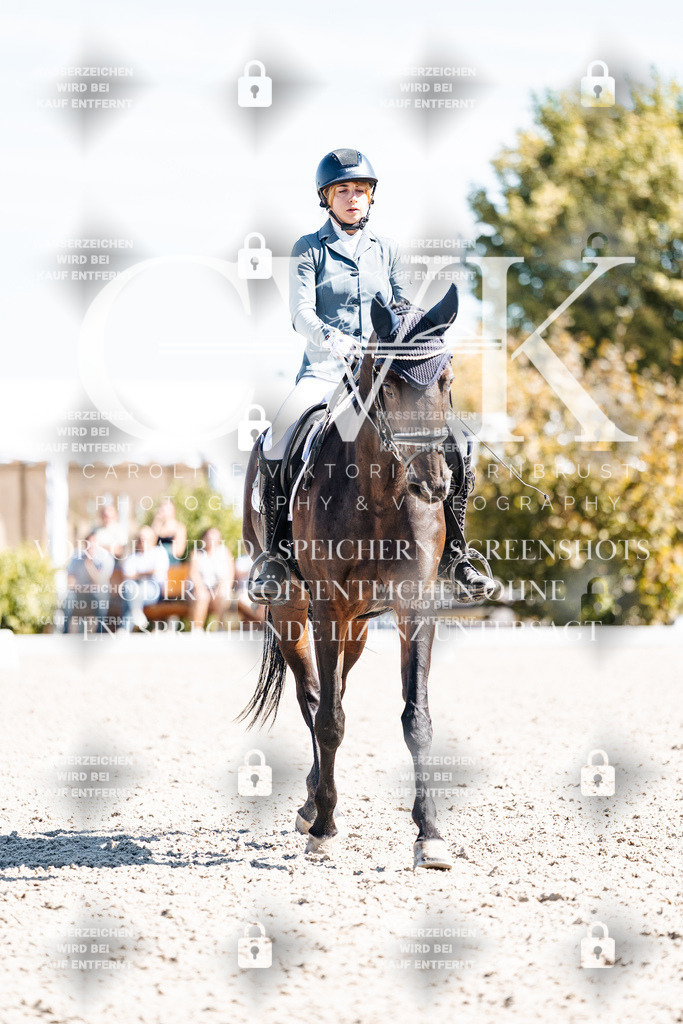 CK909785 | Turnierfotografie Pferdefotografie Trier Rheinland-Pfalz Pferdesport Reitsport Tierfotografie Sportfotografie Pferdevideo Pferdevideografie Equestrianvideography equestrianphotography  - Realisiert mit Pictrs.com