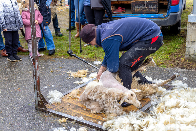 SchaZie-Tag Feldkirchen | Bildershop von pixelworld.at - Realisiert mit Pictrs.com