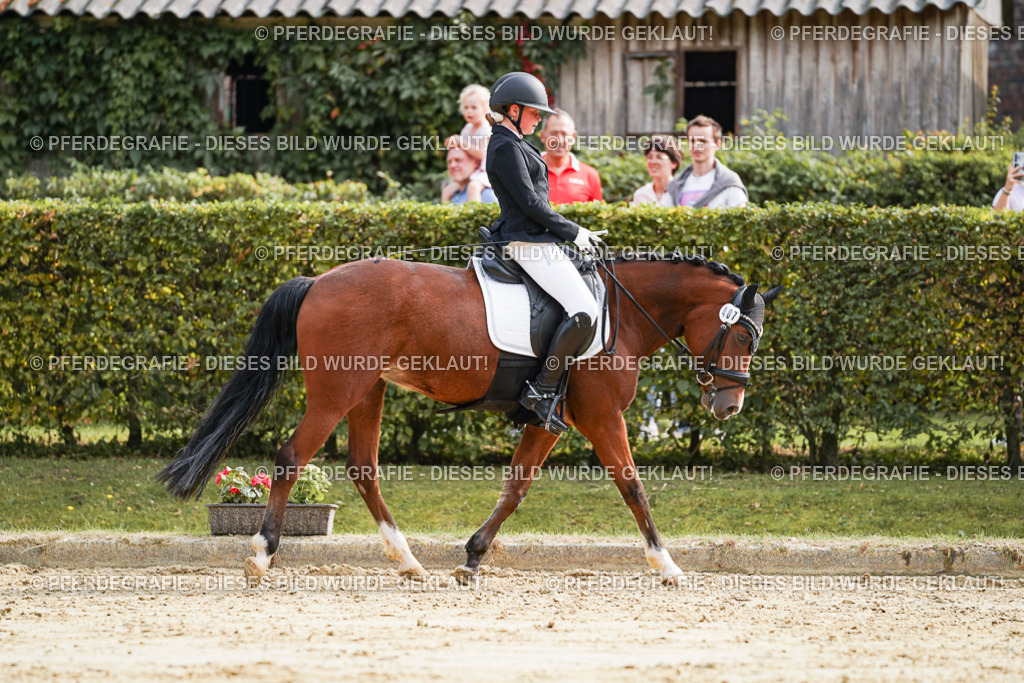 DSC04583 | Pferdegrafie