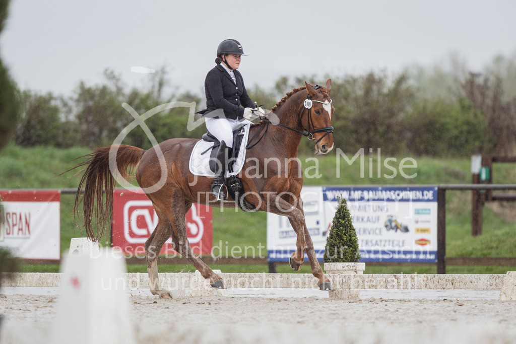 240401_Fruehlingsfest_A1-Dressur-412 | Deine schönsten Turniermomente als professionelle Fotos! Entdecke hochwertige Pferdesport-Fotografie im Online-Shop. Jetzt Fotos finden & bestellen!