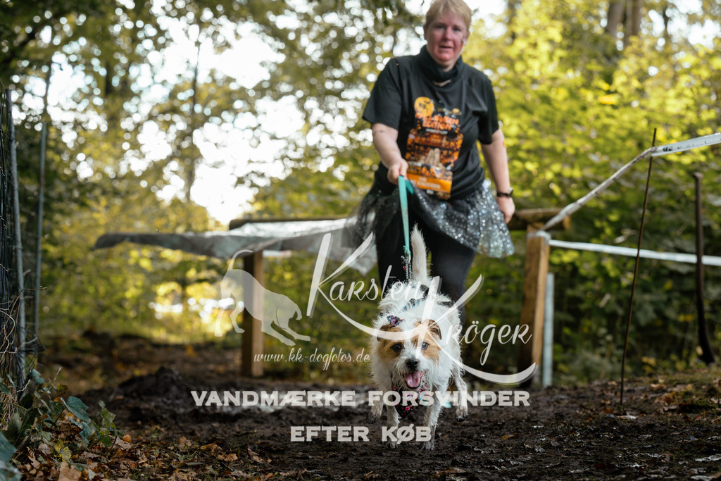 1401DZ6_0911Z6 | kk-dogfotos