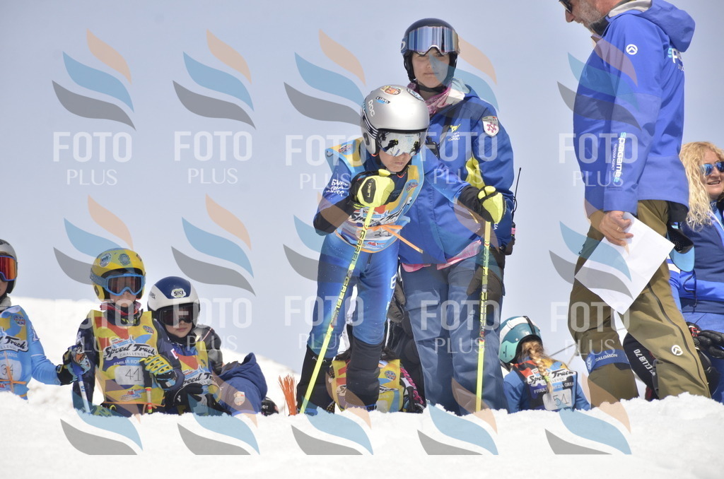 _ELE8626 | holidayphoto