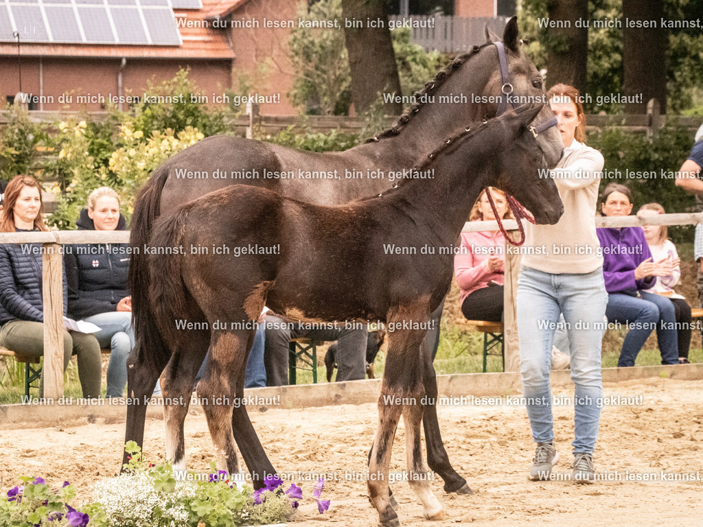 A10I1755 | photographylinaismer - Realisiert mit Pictrs.com