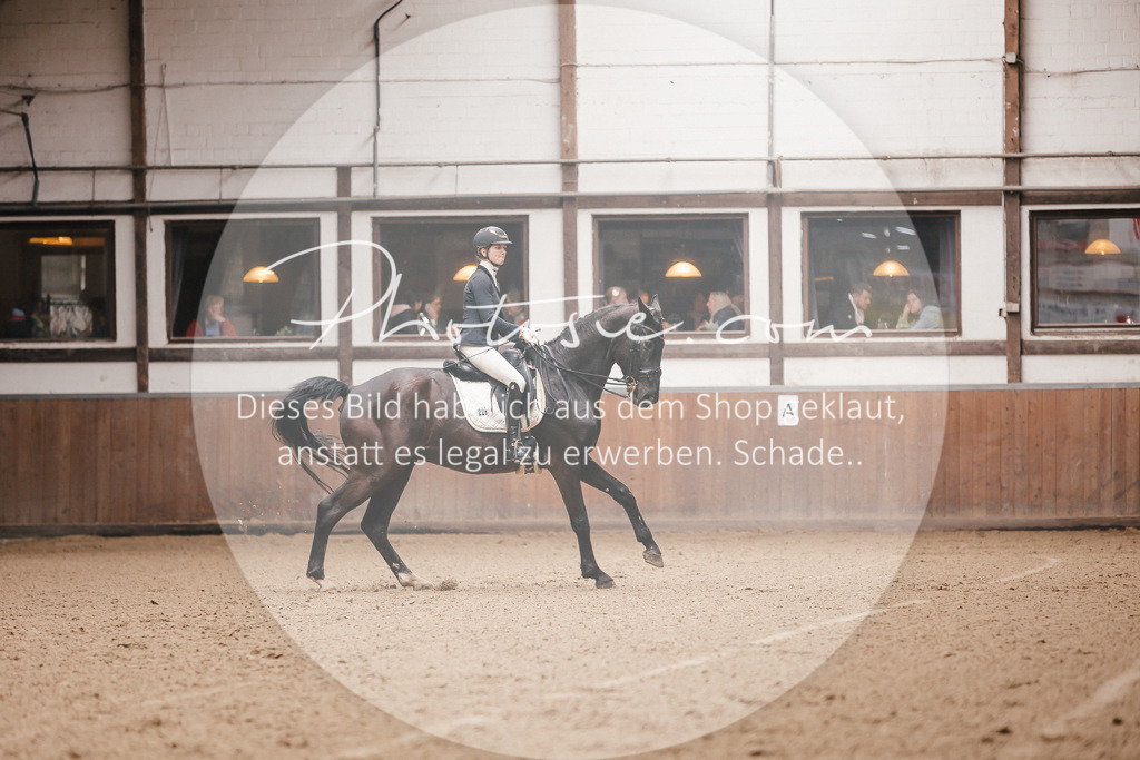 3I6A8198 | Stimmungsvolle Portraits und Reitsportfotografie im Ruhrgebiet und im Münsterland.

Pferdefotografie, Hundefotografie, Tierfotografie, Reportagen, Portraits von Tier und Mensch, Turnierfotografie in Bochum, Recklinghausen, Marl, Haltern am See, Dülmen.. - Realisiert mit Pictrs.com