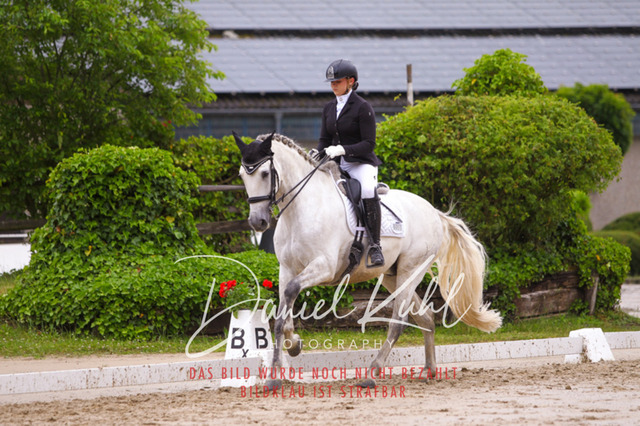 DKP40290 | Turniersportfotografie; Pferdefotografie; Dressurfotografie