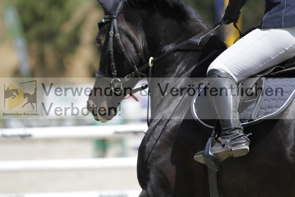 _MG_7208 | equestrian-live-com