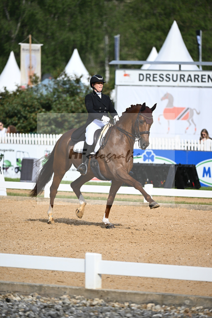 Rhomberg-Rochelt_D Rex RR_12241606 | hf-fotografie - Realisiert mit Pictrs.com