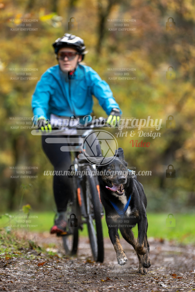 MompixPhotography_Bischwiller23_Bike-62 | PayLife