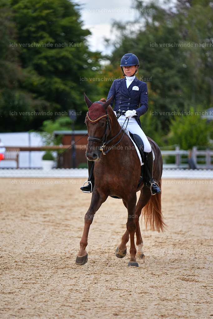 8_1-094-Klasse S_  -Marixx-4143 | working equitationturnier fotograf videograf stoibphotography marixx film working equitation deutschland reitsport turnierfotografie eventfotografie equestrian events