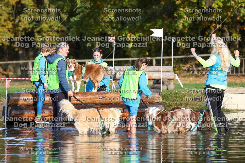 Dog Paparazzi - Strongdog 10-25-8473 | Dog Paparazzi Jeanette Grottendiek Fotografie & Videografie - Realisiert mit Pictrs.com