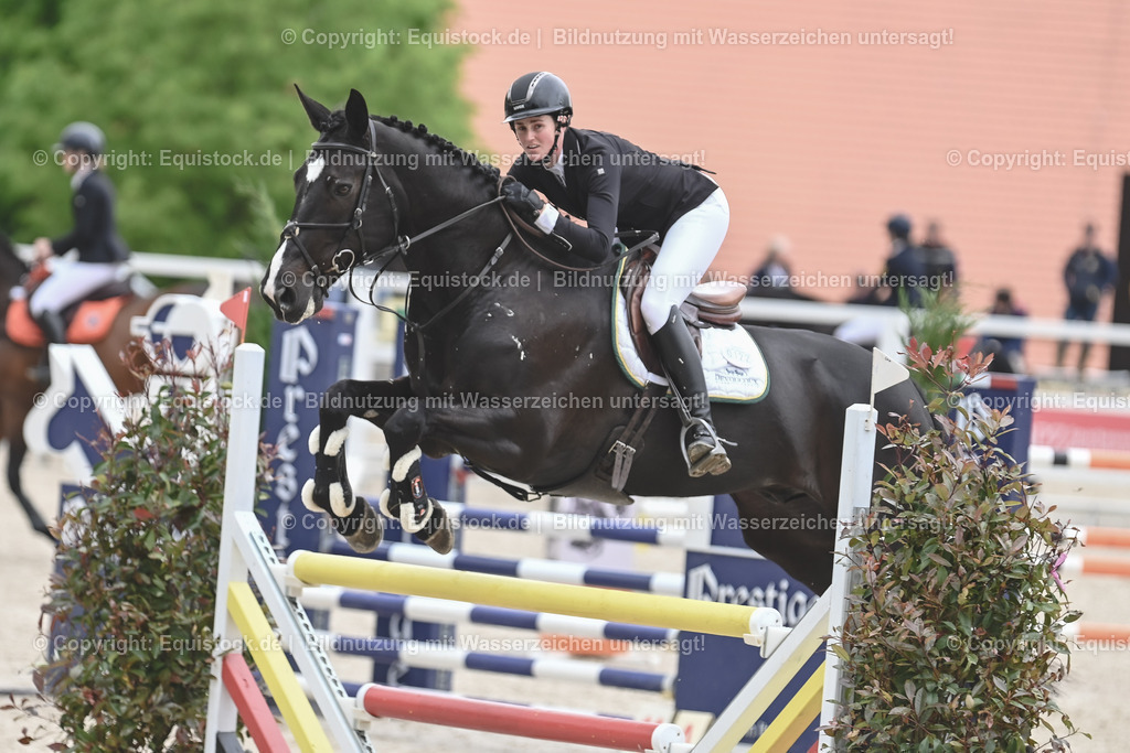 20230514_CCI4_Springen_0121 | equistock