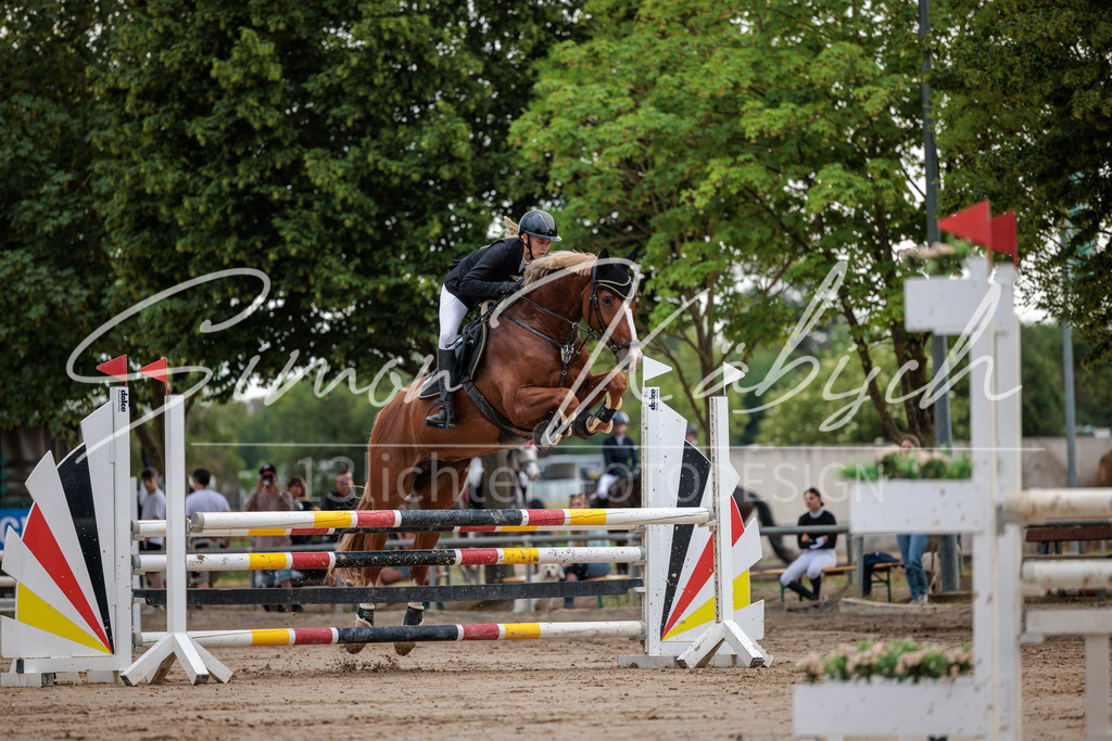 20260531-_3LI3354 | Tierfotografie Pferde, Hunde, Katzen, Haustiere.
Turnierfotografie Reitturniere, Reiten, Springreiten, Dressur in Hanau, dem Main-Kinzig-Kreis und dem Rhein-Main- Gebiet um Frankfurt