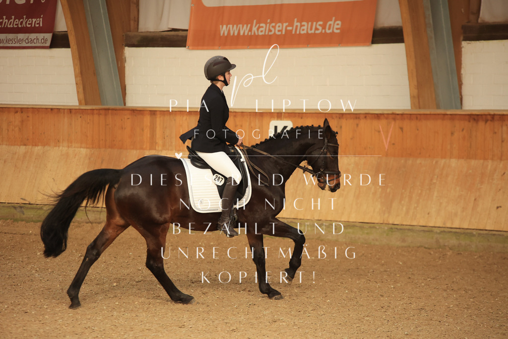 IMGT4125 | pl-fotografie