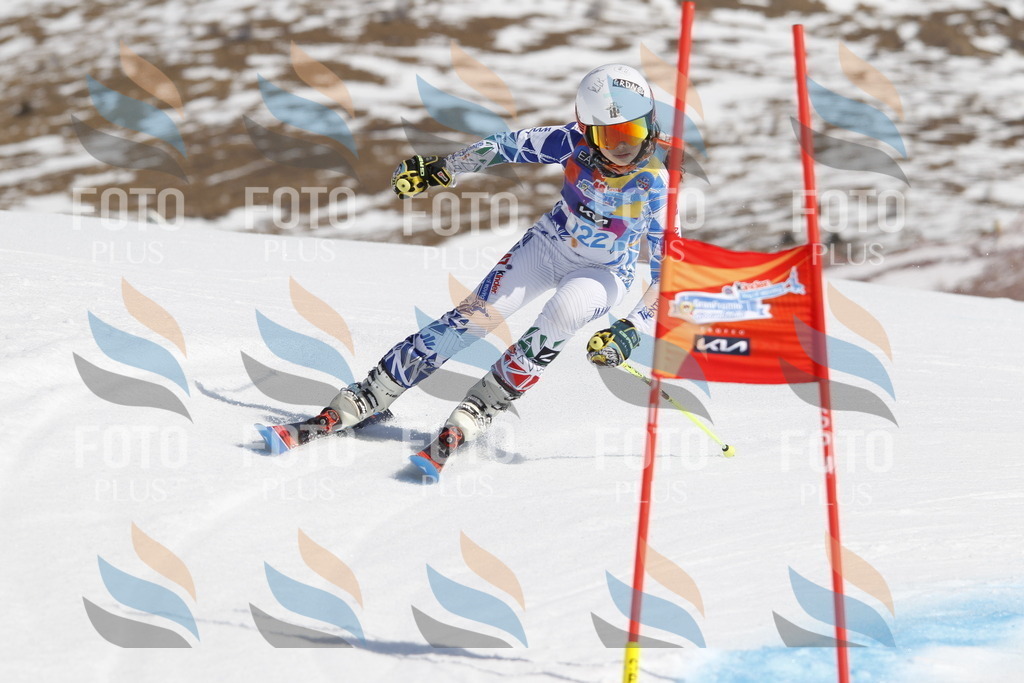 _U3G0736 | holidayphoto