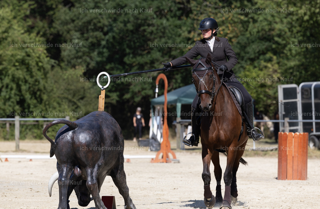 WE_Trail_126_KerstinBernhardt-4 | working equitationturnier fotograf videograf stoibphotography marixx film working equitation deutschland reitsport turnierfotografie eventfotografie equestrian events