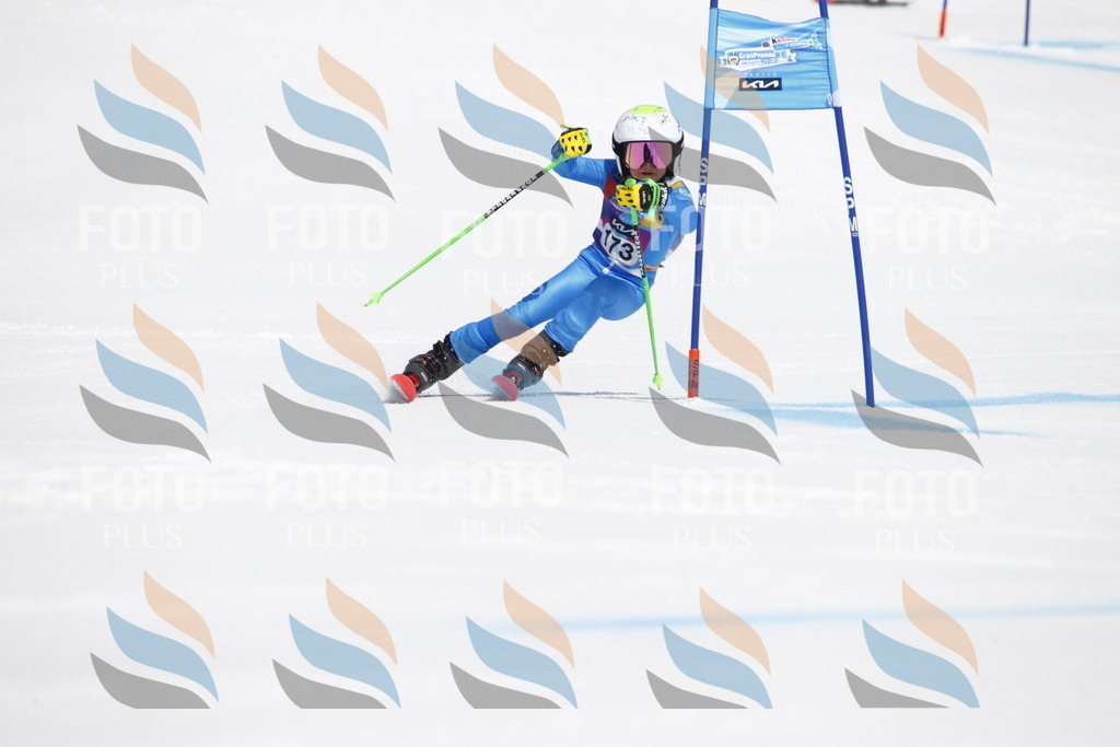 _U3G4559 | holidayphoto