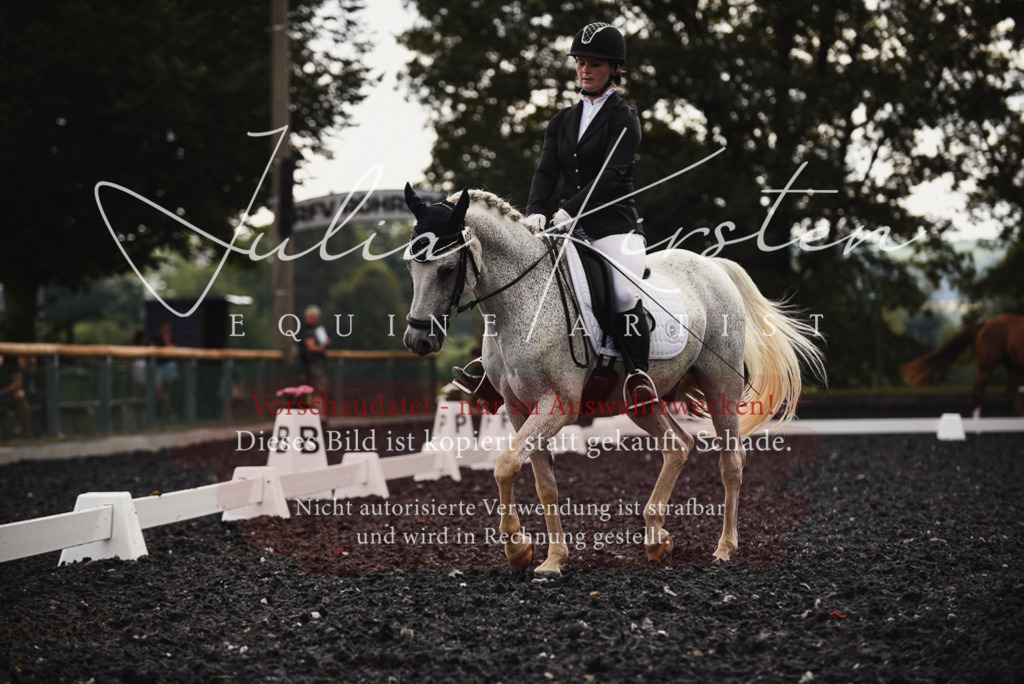 DSC_3969 | Pferde- und Turnierfotografie in Westsachsen. Pferdeportraits, Auftragszeichnungen und intuitive Kunst.