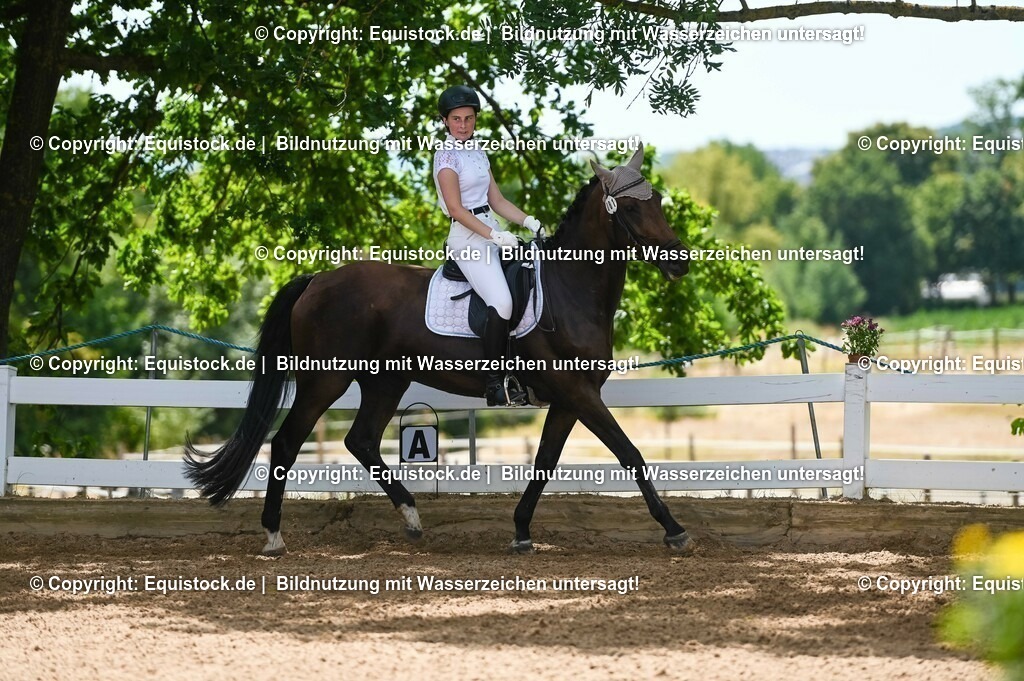 20230715_09_Dressur-WB_0268 | equistock