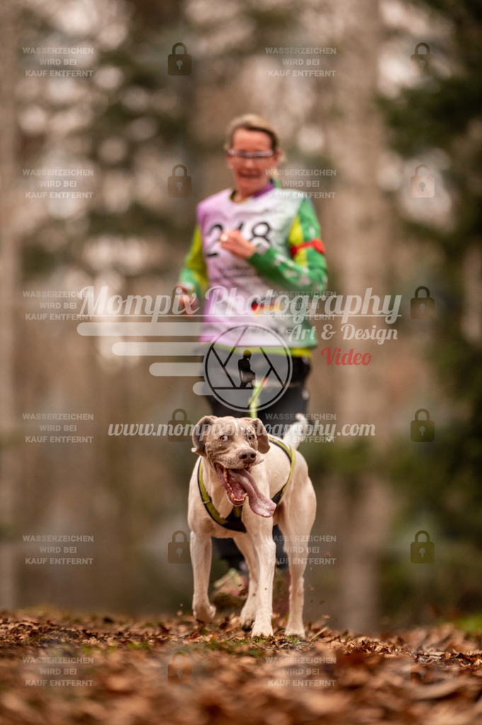 AKM_ST_2023_SAM_Run-33 | PayLife