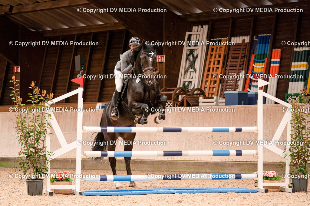 Springen Tag 1-448 | dv-media-shop - Realisiert mit Pictrs.com