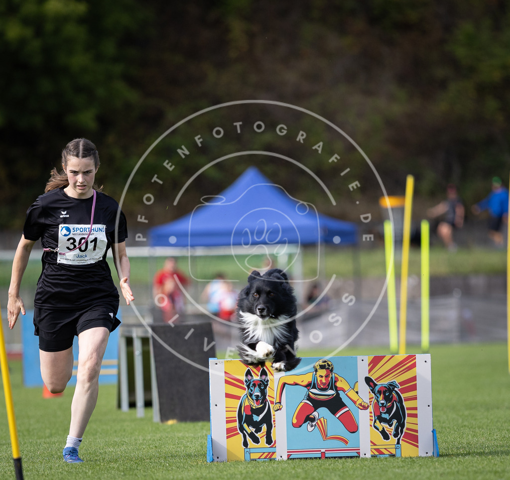 Pfotenfotografie_DV3A1158 | Hundefotografie, Tierfotograf, Pfotenfotografie, Fotoshooting Hund, Hunde Portrait, Hundesport, Hundeportraits, Heideshooting, Hunde, Sportfotograf, Hundefotograf, Turnierhundsport, THS,  - Realisiert mit Pictrs.com
