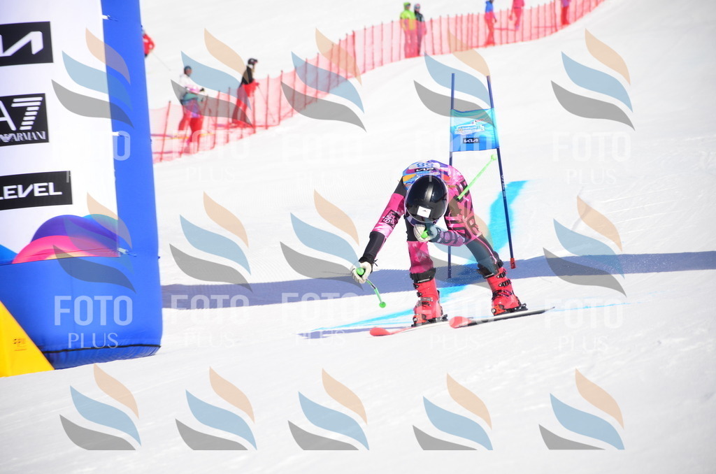 VR4_8875 | holidayphoto