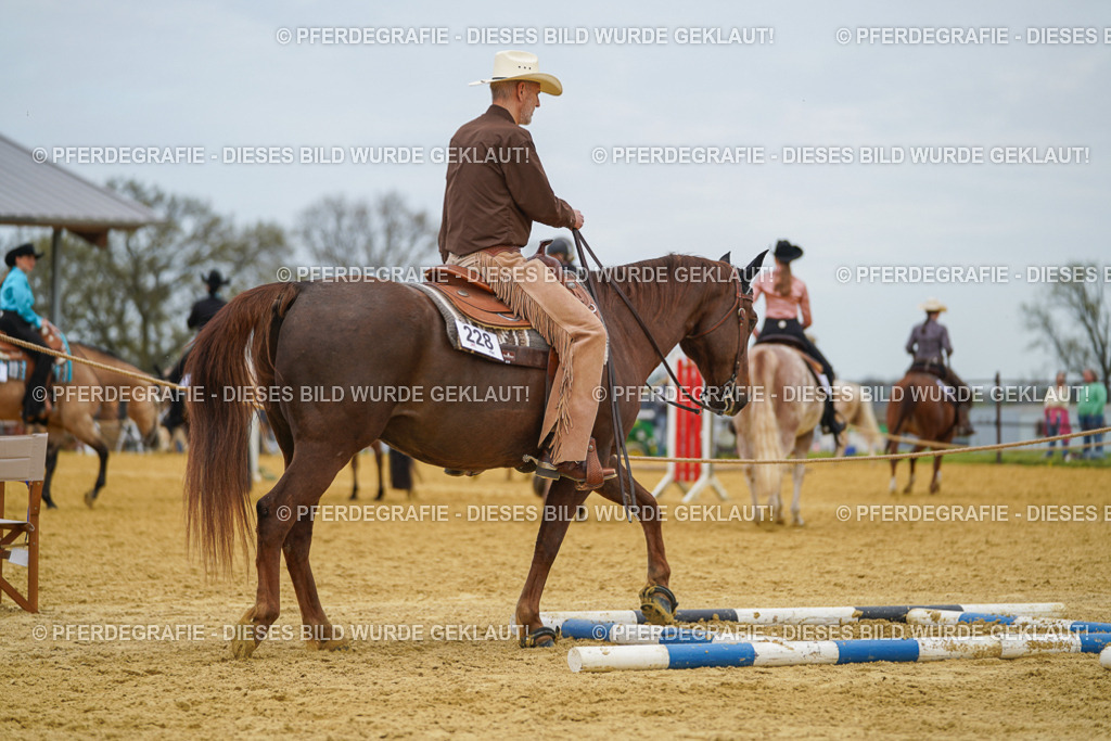 DSC02875 | Pferdegrafie