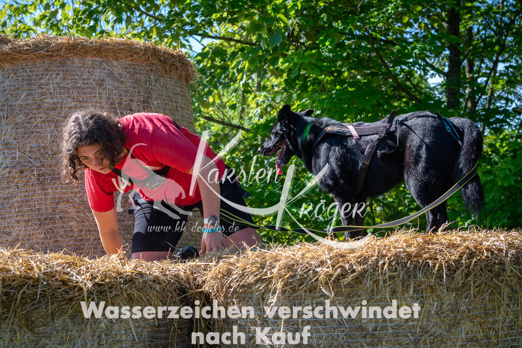 0931STR_5128 | kk-dogfotos