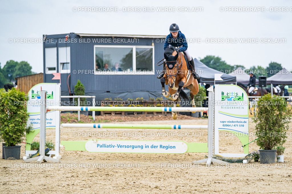 DSC09379 | Pferdegrafie