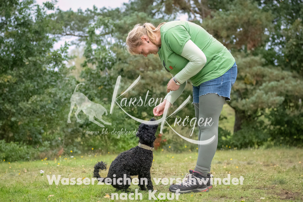 1703_ZZ90945-3-Bearbeitet | kk-dogfotos