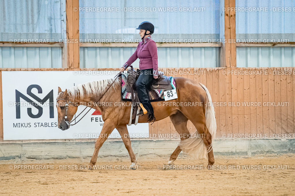 DSC00245 | Pferdegrafie