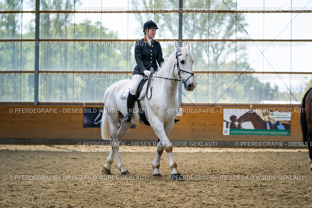 DSC05617 | Pferdegrafie