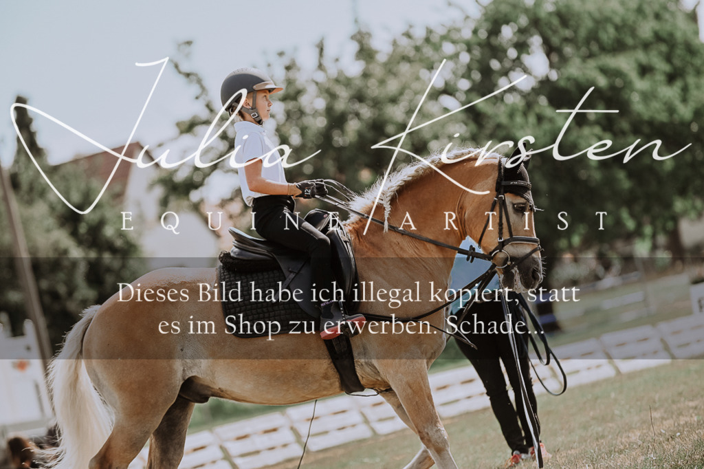 DSC_7750 | Pferde- und Turnierfotografie in Westsachsen. Pferdeportraits, Auftragszeichnungen und intuitive Kunst.