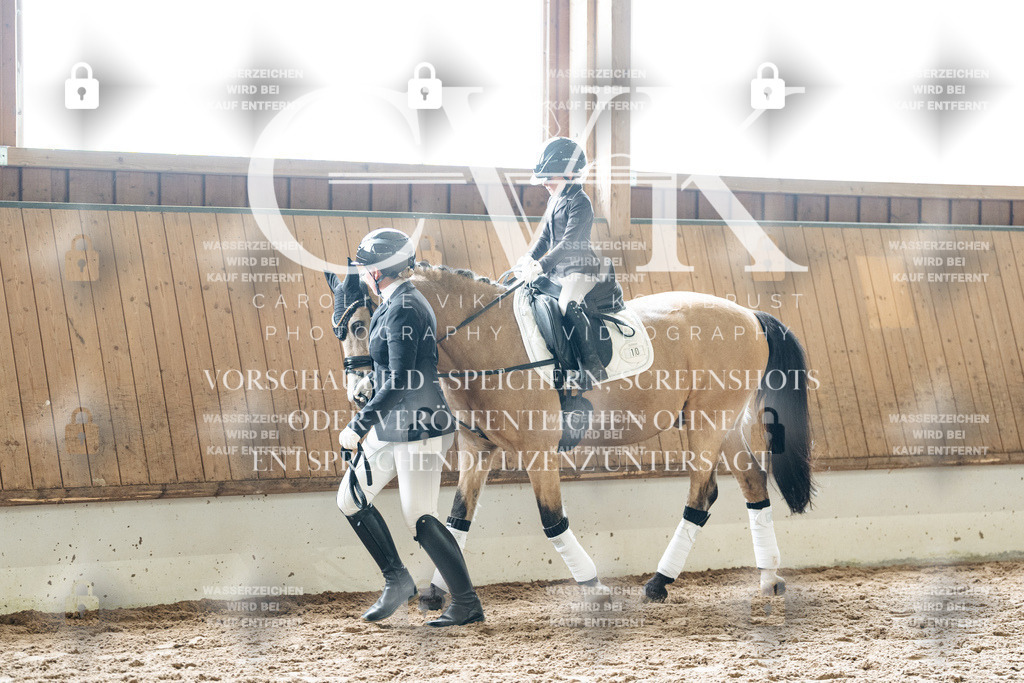 CK901818 | Turnierfotografie Pferdefotografie Trier Rheinland-Pfalz Pferdesport Reitsport Tierfotografie Sportfotografie Pferdevideo Pferdevideografie Equestrianvideography equestrianphotography  - Realisiert mit Pictrs.com
