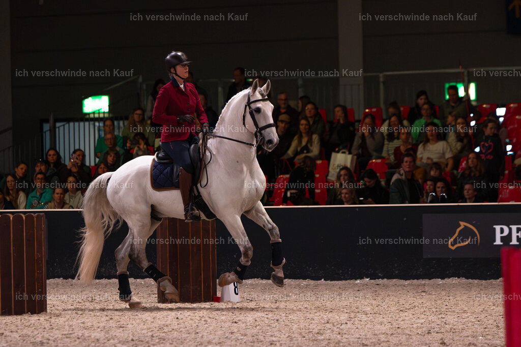 JoseraCup-107 | working equitationturnier fotograf videograf stoibphotography marixx film working equitation deutschland reitsport turnierfotografie eventfotografie equestrian events