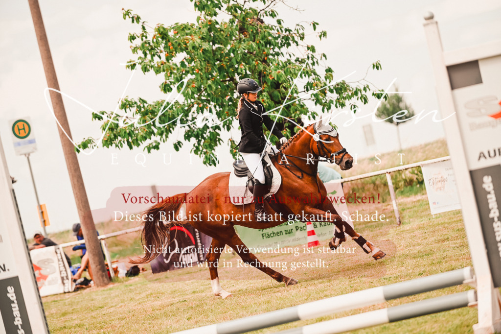 DSC_6875 | Pferde- und Turnierfotografie in Westsachsen. Pferdeportraits, Auftragszeichnungen und intuitive Kunst.