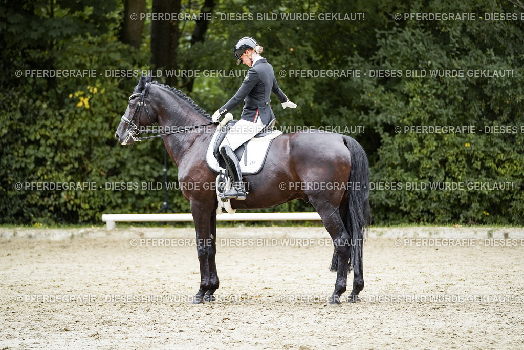 DSC01393 | Pferdegrafie