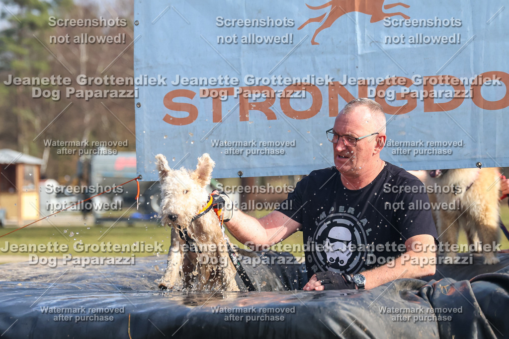 Dog Paparazzi - Strongdog North Mrz26-2085 | Dog Paparazzi Jeanette Grottendiek Fotografie & Videografie - Realisiert mit Pictrs.com