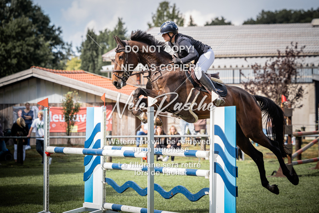 nelerasche_SprL115Ede_08 | nelerasche