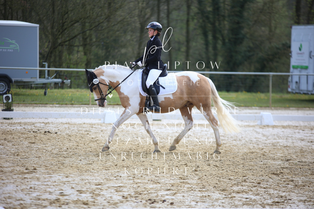 IMGT4185 | pl-fotografie