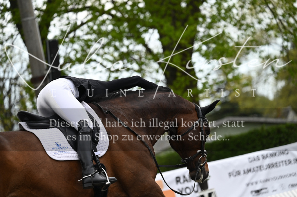 20230512_JK-Röhrsdorf-08-049 | Pferde- und Turnierfotografie in Westsachsen. Pferdeportraits, Auftragszeichnungen und intuitive Kunst.