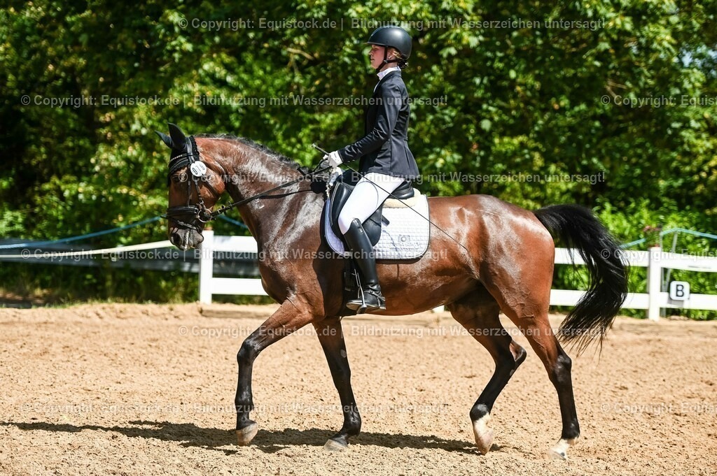 20230715_02_Dressurreiterprüfung Kl.L_0083 | equistock