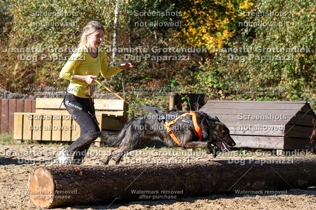 Dog Paparazzi - Strongdog 10-25-2601 | Dog Paparazzi Jeanette Grottendiek Fotografie & Videografie - Realisiert mit Pictrs.com