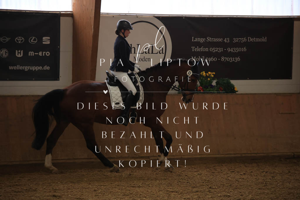 IMGT9959 | pl-fotografie