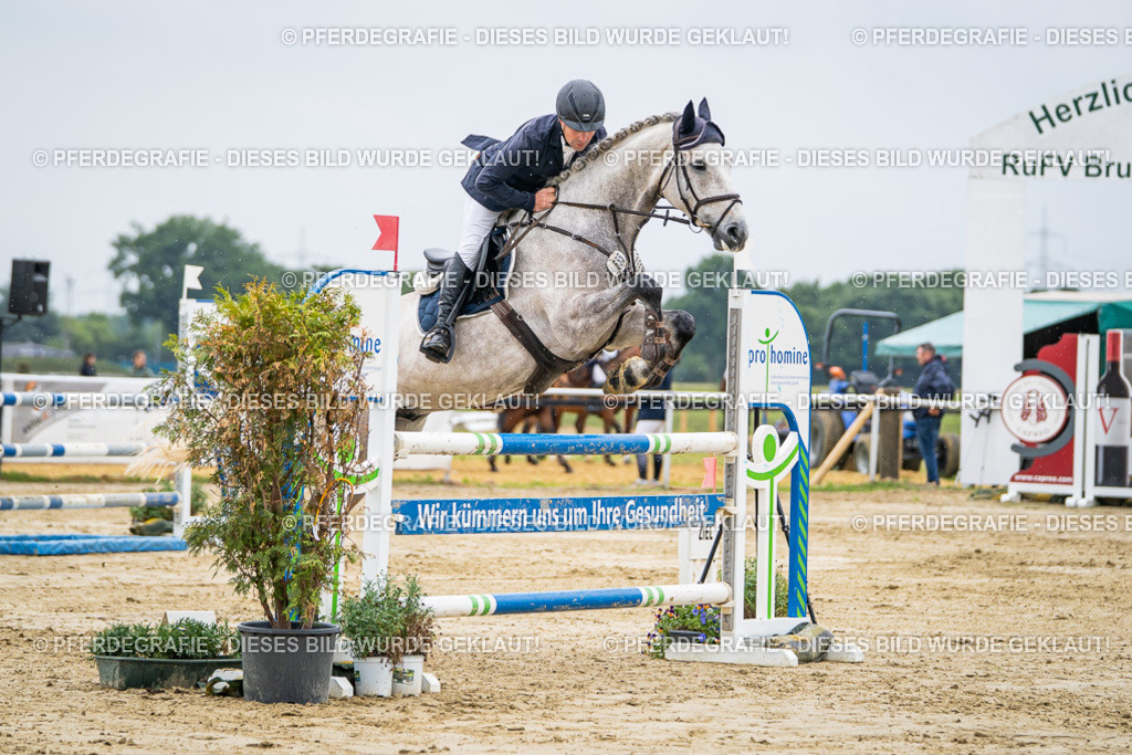 DSC02708 | Pferdegrafie