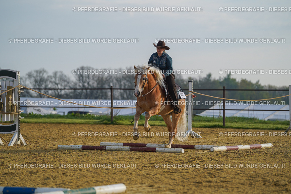 DSC00368 | Pferdegrafie